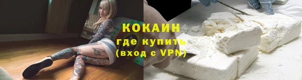 индика Армянск